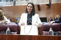 La Comunidad critica que huelguistas conviertan educación "en rehén de un conflicto político" para "derrotar" a Ayuso
