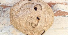 Investigación
