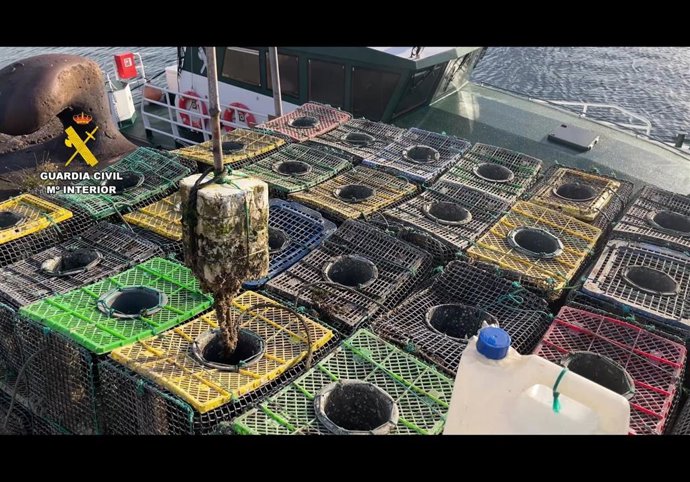 Nasas decomisadas para la pesca ilegal de pulpo en el puerto de El Musel en Gijón.