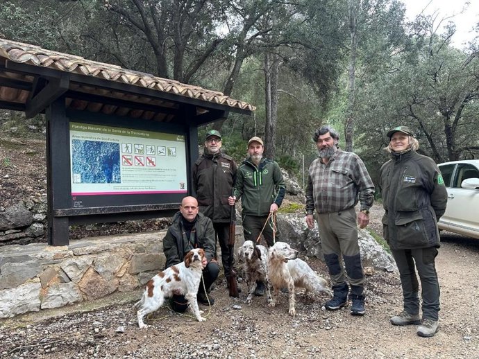 Mallorca permitirá diez días de caza de becadas con escopeta y perro de muestra en sus fincas públicas