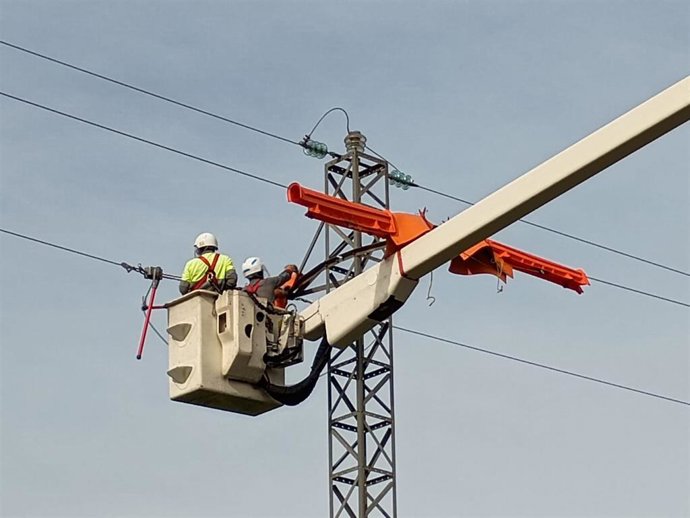 Trabajos para adaptar torres eléctricas para proteger a las aves