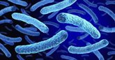 Foto: Los sistemas de agua de los edificios pueden originar la aparición de nuevas variantes de 'Legionella pneumophila'