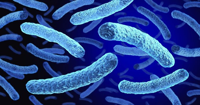 Archivo - Recreación de la bacteria Legionella
