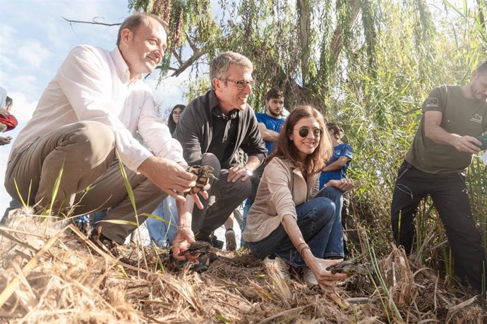 Sueltan tortugas de agua dulce en la Albufera para reforzar su población