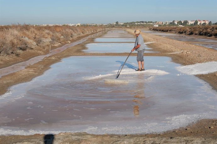 Recuperación de salinas de Cádiz