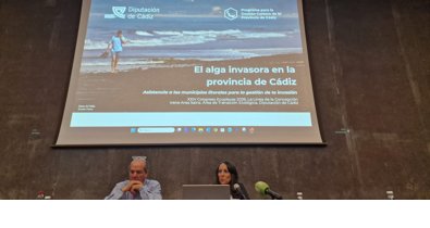 Cádiz al día