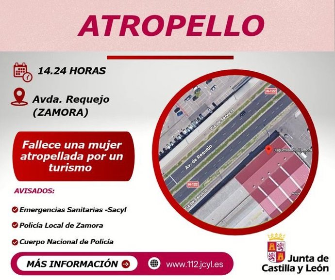 Gráfico elaborado por el 112 con datos del atropello en Zamora