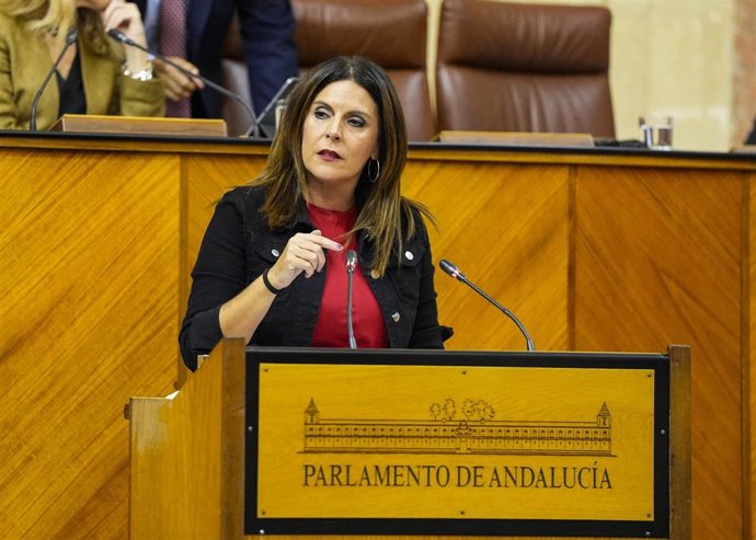 La diputada del PSOE-A Ángeles Férriz interviene en el Pleno del Parlamento andaluz en defensa de la iniciativa para crear una comisión de investigación sobre los cribados de cáncer en la sanidad andaluza.