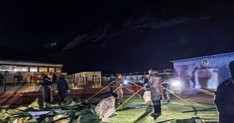 Aldia Internacional