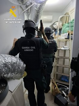 Desmantelada una plantación de cannabis en Rafelcofer