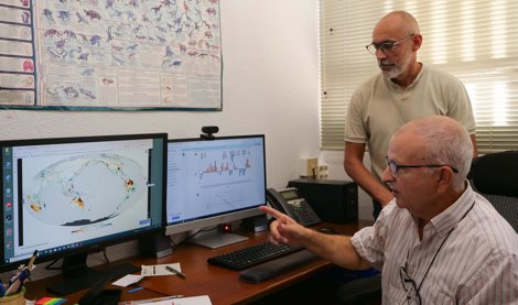 Investigación