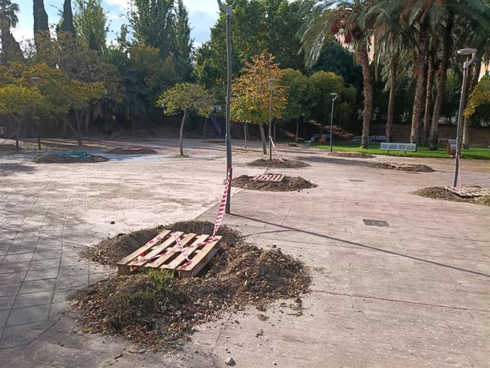 Una de las zonas de Jaén donde se realizará la plantación de árboles.