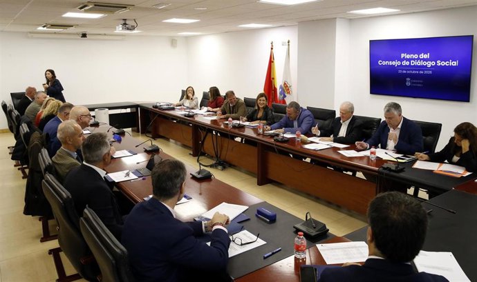 Pleno del Consejo de Diálogo Social