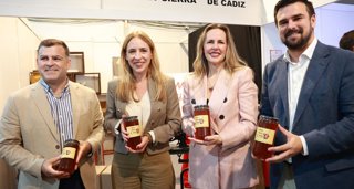 Cádiz al día