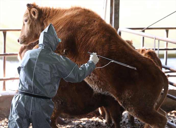 Agricultores y ganaderos piden cautela y tener más información de fuentes oficiales respecto al virus Shamonda