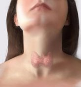 Foto: Endocrinólogos defienden la vigilancia activa en el cáncer de tiroides de bajo riesgo para evitar cirugías