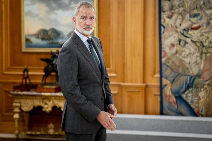 El Rey Felipe VI 