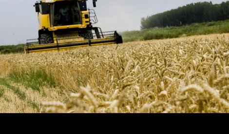 EpAgro - Agricultura
