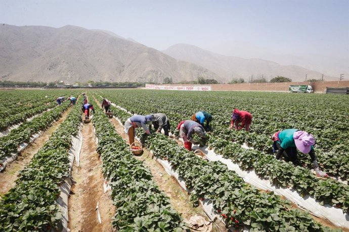 Perú.- CADE Ejecutivos 2026: plantean cinco prioridades para el desarrollo del Perú al 2050