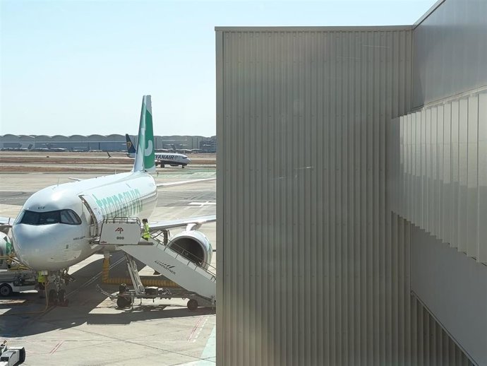 Un avión de Transavia, estacionado junto a una de las pasarelas de acceso en la terminal hispalense