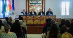 Es Andalucía - Sevilla