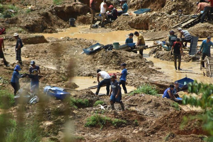 Archivo - Los mineros ilegales, conocidos como coligalleros, se organizan en pequeños grupos de trabajo para colaborar en la extracción ilegal de oro en Crucitas, distrito costarricense de Cutris de San Carlos, a solo seis kilómetros de Nicaragua
