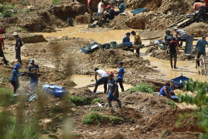 Archivo - Arquivo - 9 de agosto de 2023: Os garimpeiros formam pequenos grupos para se ajudarem mutuamente na extração ilegal de ouro em Crucitas, em Cutris de San Carlos, a apenas 6 quilômetros da fronteira com a Nicarágua.