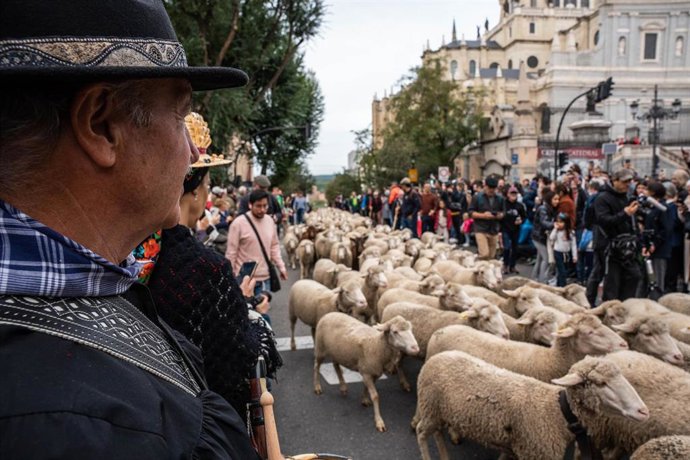 Archivo - Varias personas observan el rebaño trashumante a su paso por la Catedral de la Almudena