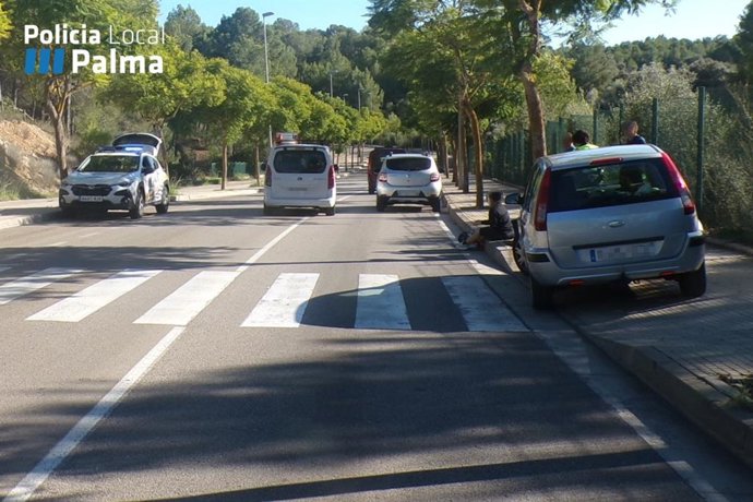 Paso de peatones en el que se produjo el accidente.