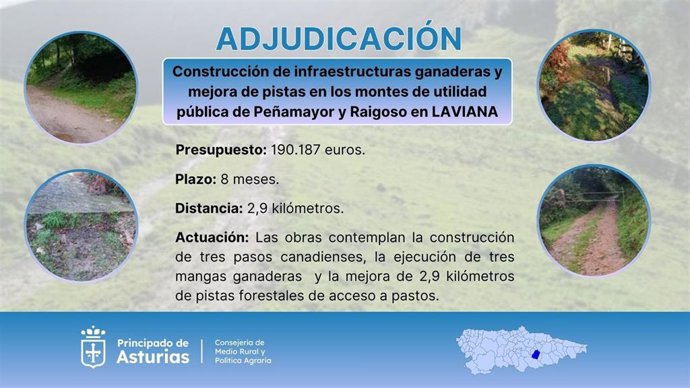 Adjudicación