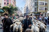 Foto: Miles de personas abarrotan el centro de Madrid por la Fiesta de la Trashumancia: "Parece mentira ver las ovejas aquí"