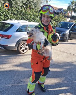 Imagen del perro rescatado.