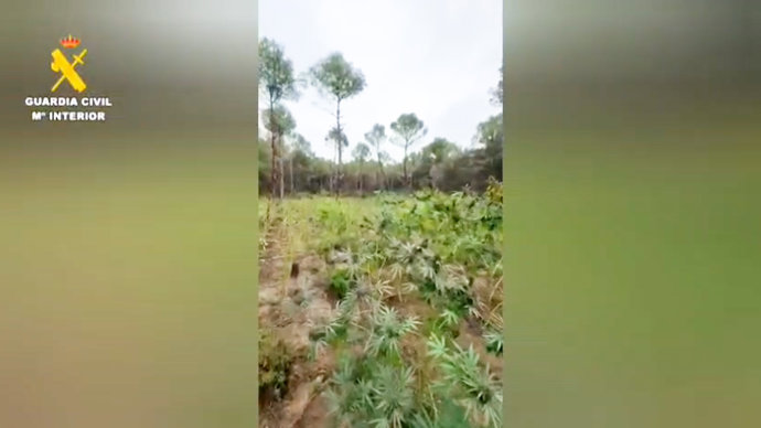 Vídeo de la noticia