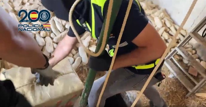 Captura de  un vídeo de la Policía Nacional en el momento de la intervención de la droga en una finca de Ayamonte.