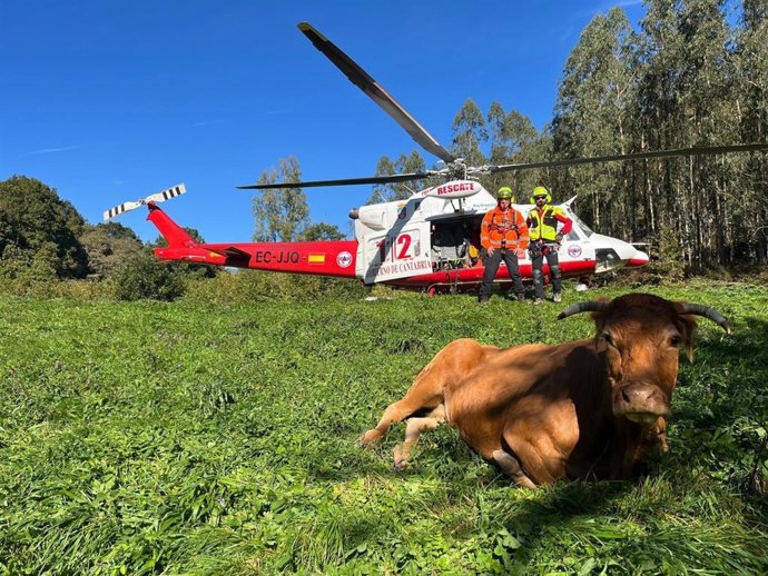 Vaca rescatada en helicóptero en Ruente