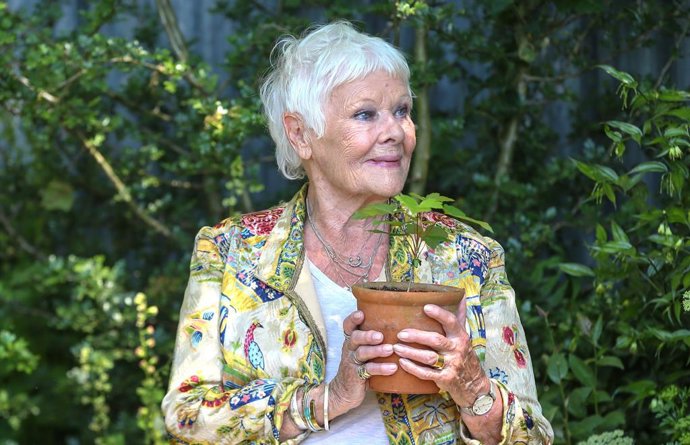 Judi Dench revela que no puede actuar por su pérdida de visión: "Ya no puedo leer"