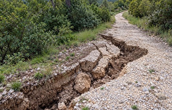 La Generalitat reconstruirà 19,3 km de pistes forestals després d'identificar 71 afeccions provocades per la dana Adam