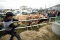 La Xunta destina ayudas a agricultores y ganaderos ante los sobrecostes de fertilizantes y gasóleo