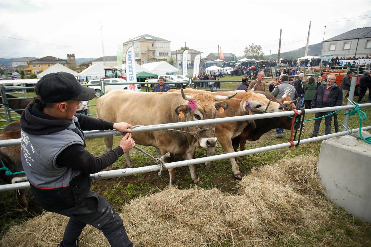 La Xunta destina ayudas a agricultores y ganaderos ante los sobrecostes de fertilizantes y gasóleo