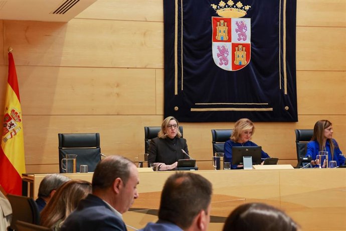 Isabel Blanco en un momento de la comparecencia en las Cortes