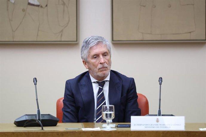 Archivo - El ministro del Interior, Fernando Grande-Marlaska, durante la celebración del acto institucional en recuerdo y homenaje a las Víctimas del Terrorismo, en el Congreso de los Diputados