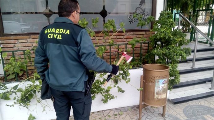 Archivo - Imagen de archivo de la Guardia Civil en la que un agente localiza un hacha.