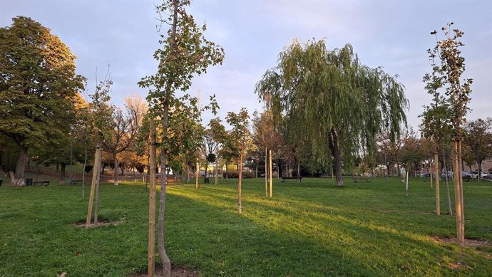 Plantación de árboles en la capital salmantina.