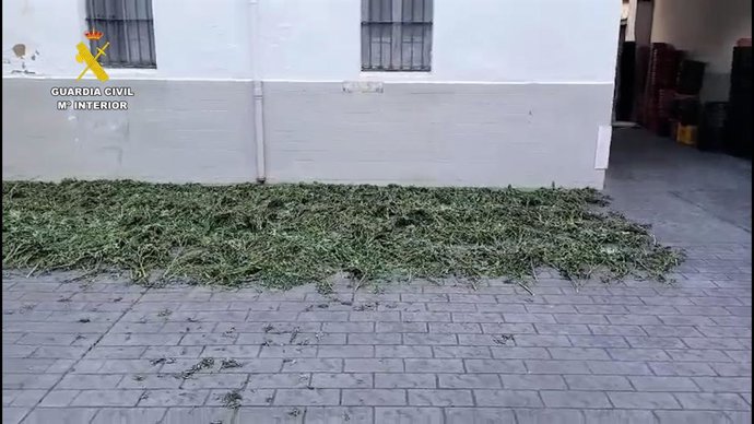 Desarticulat un grup criminal acusat de tràfic de drogues