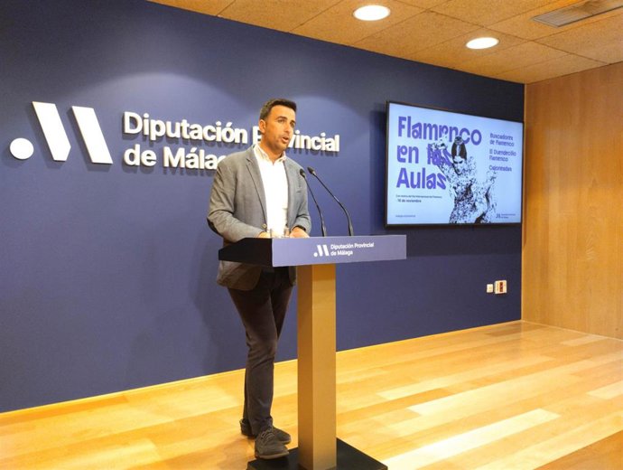 El diputado de Educación y Juventud, José Santaolalla, en rueda de prensa