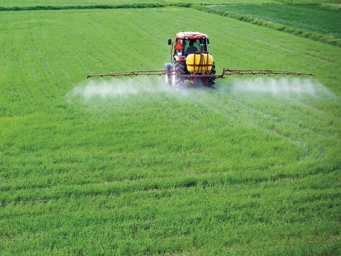 Archivo - Imagen de un tractor en una plantación.