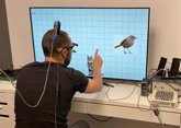 Foto: La IA podría hacer prótesis visuales "más precisas" y "efectivas"