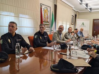 Reunión del Comité Asesor del Plan Infoca en Jaén