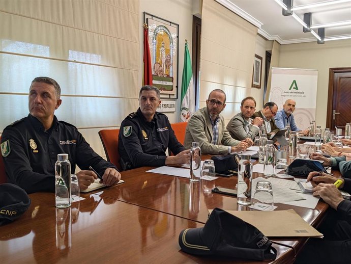 Reunión del Comité Asesor del Plan Infoca en Jaén