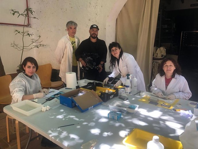 Neteja de cintes en una experiència de turisme solidari